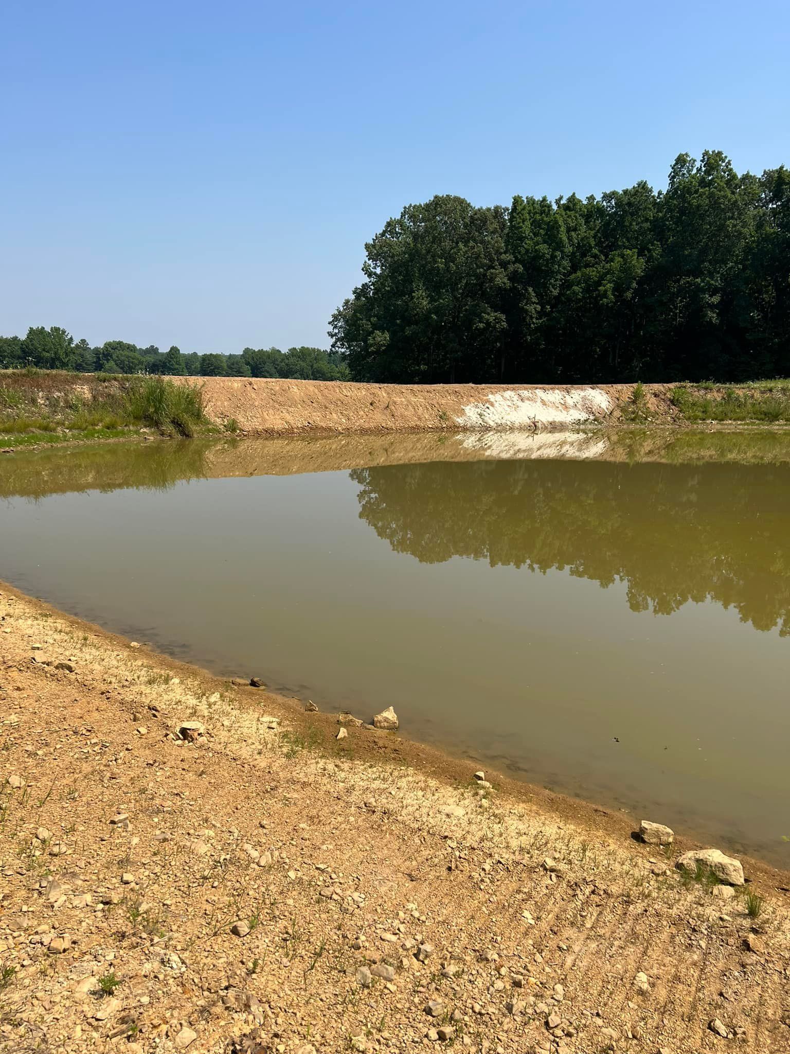 A muddy pond bordered by a rocky, dirt shoreline under a clear blue sky, with a dark tree line in the background.