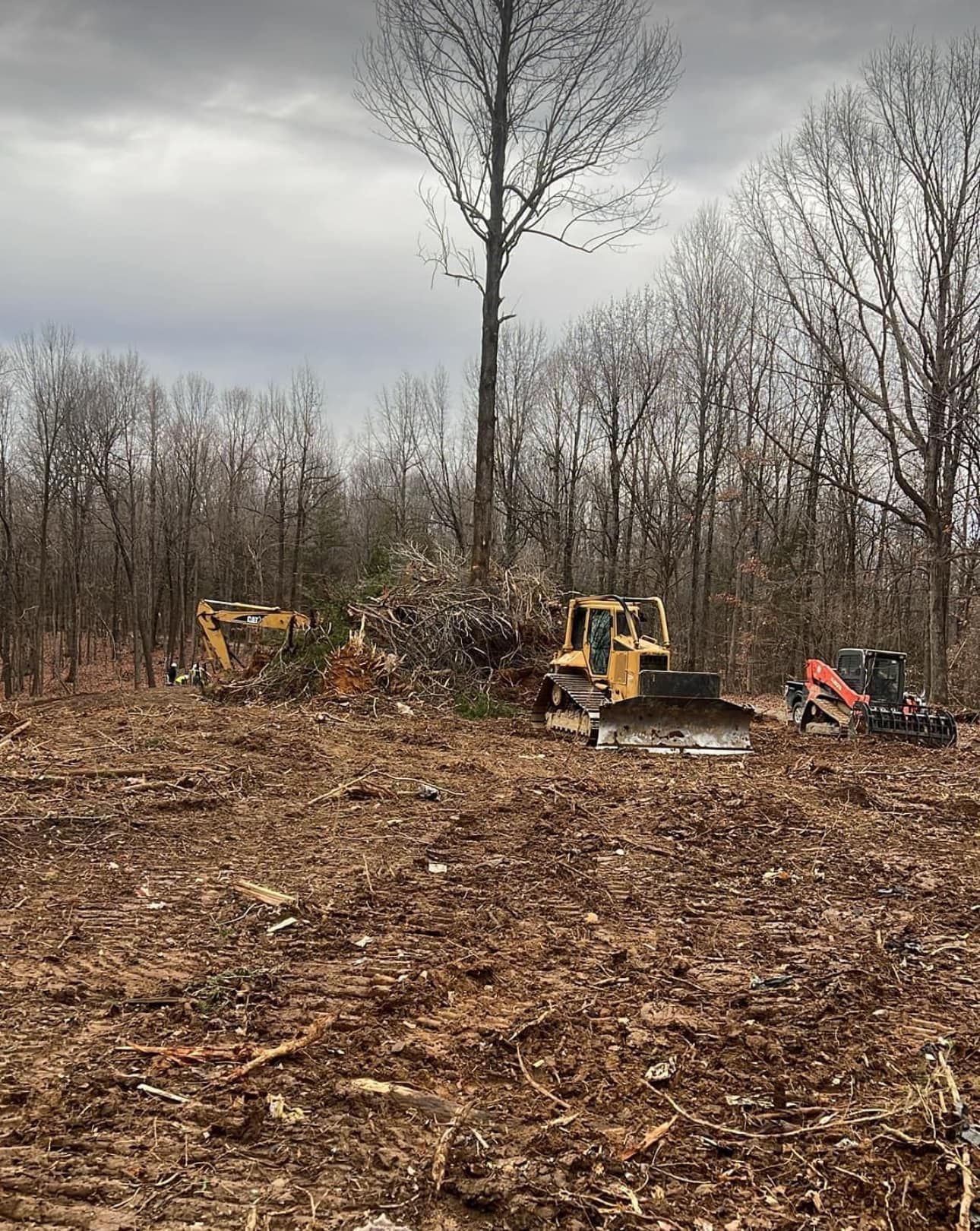 Construction equipment clears a forest area, including a yellow bulldozer and an orange excavator on cleared land.