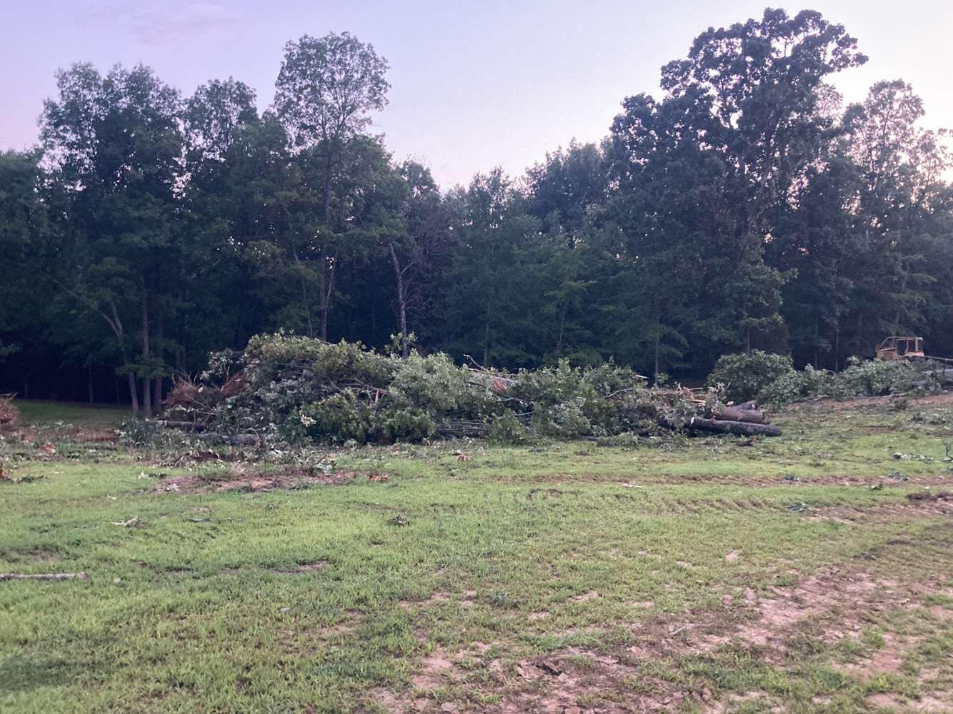 A large pile of freshly cleared brush and tree branches sits on a grassy field in front of a dense forest at dusk.