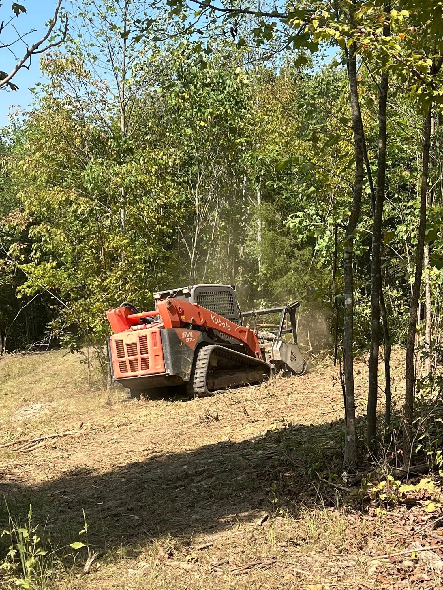 An orange skid-steer loader with tracks mulches brush and small trees in a wooded area on a sunny day.