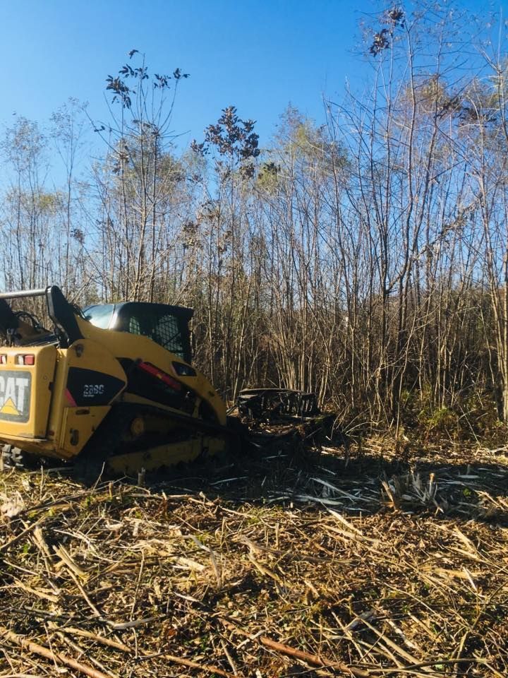 Heavy machinery, including two yellow excavators and a red skid steer, clearing trees and debris in a wooded area.