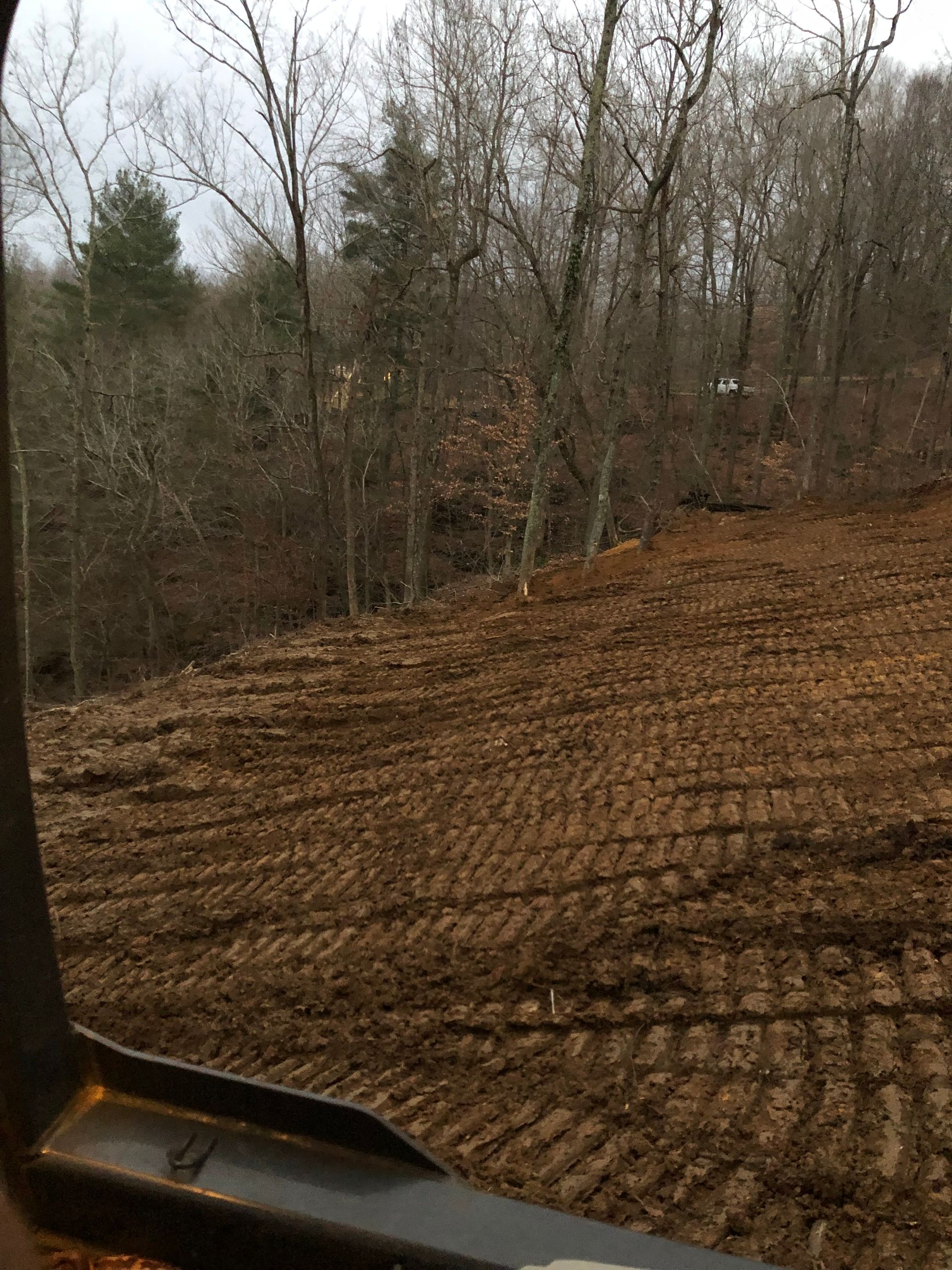 View from inside a cab showing cleared brown dirt with heavy machinery tracks, bordering a forest of bare trees.
