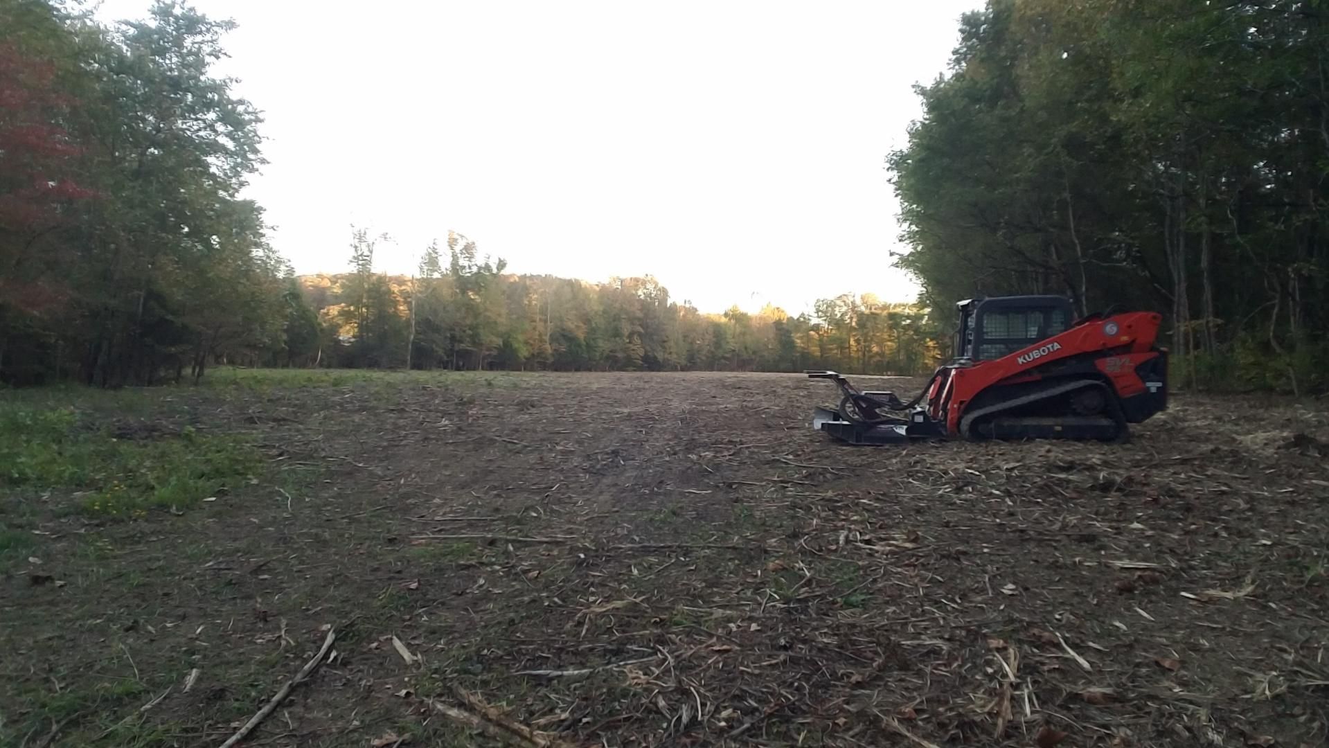 A red tracked skid steer with a forestry mulcher attachment sits in a cleared field at the edge of a forest.