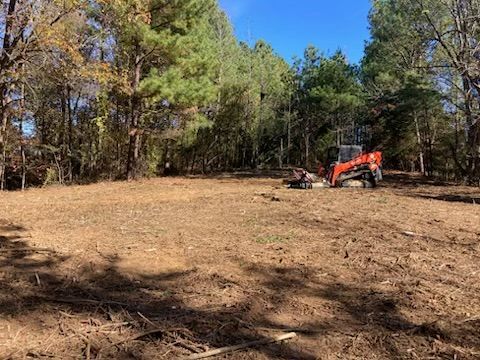 An orange skid steer clears vegetation in a sunlit, forested field with freshly mulched ground.