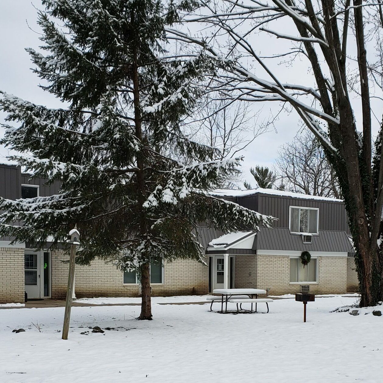 A snowy yard with a picnic table in front of a house