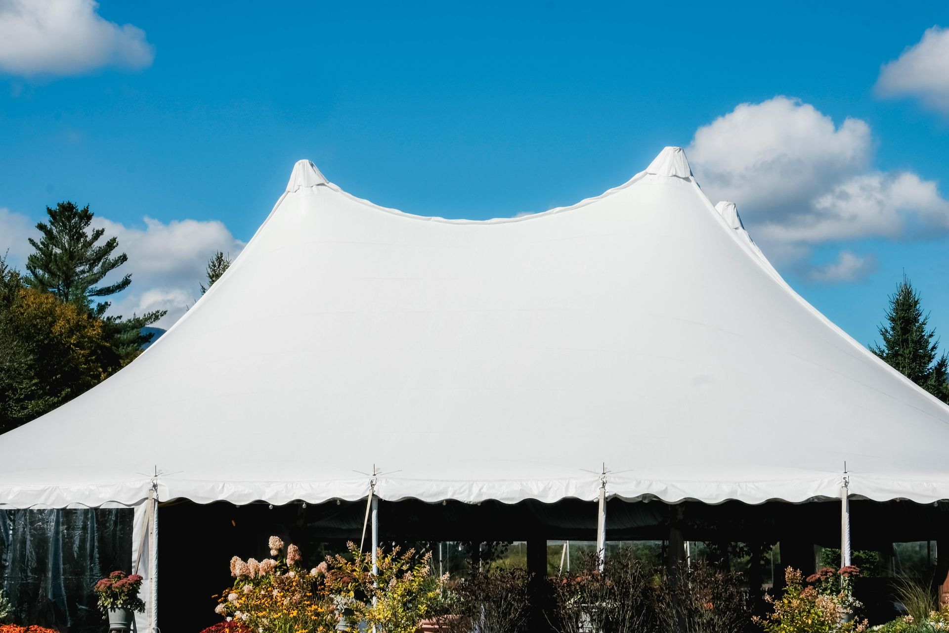 White peaked event tent under a blue sky with clouds, surrounded by greenery and flowers