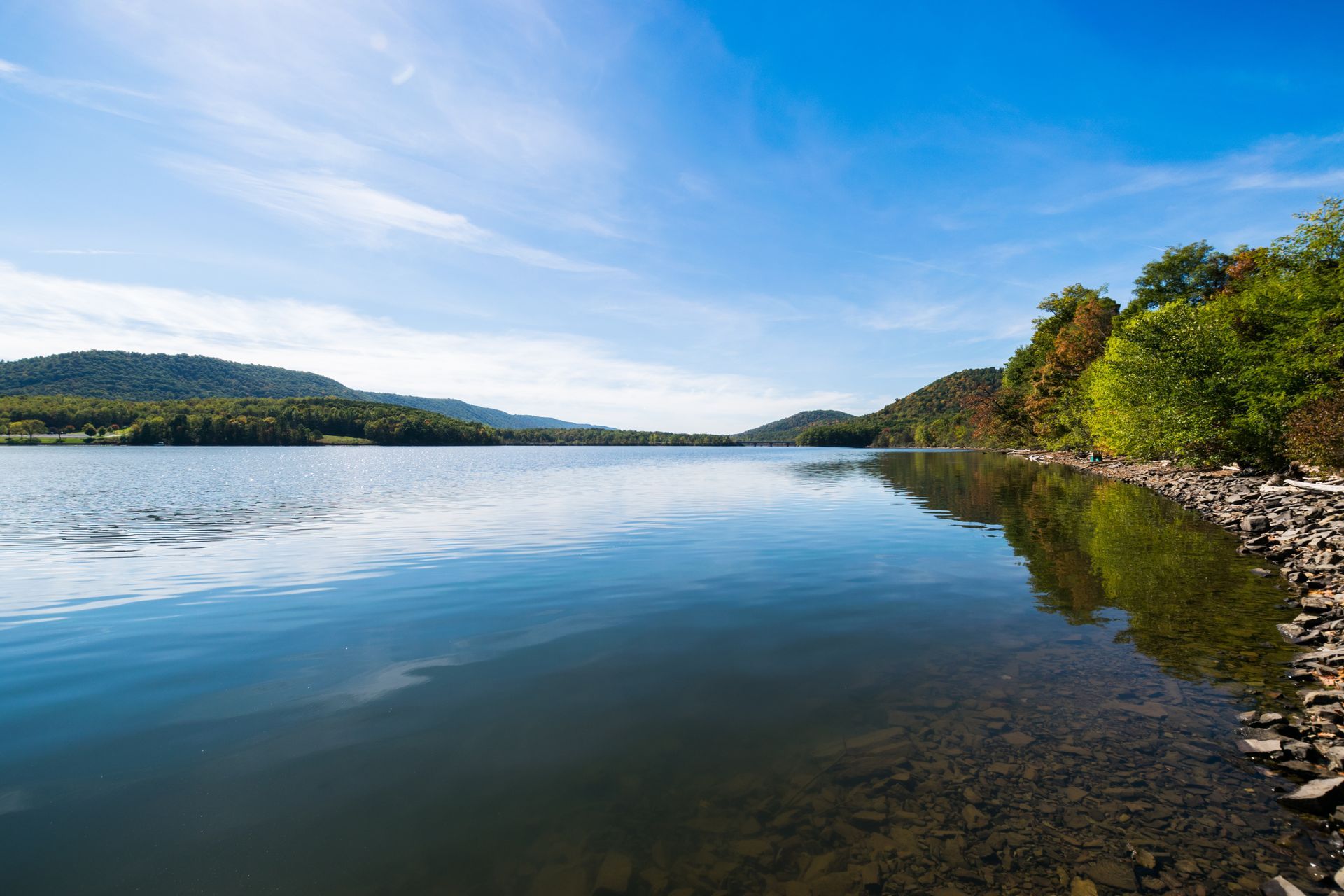A large body of water surrounded by trees on a sunny day.