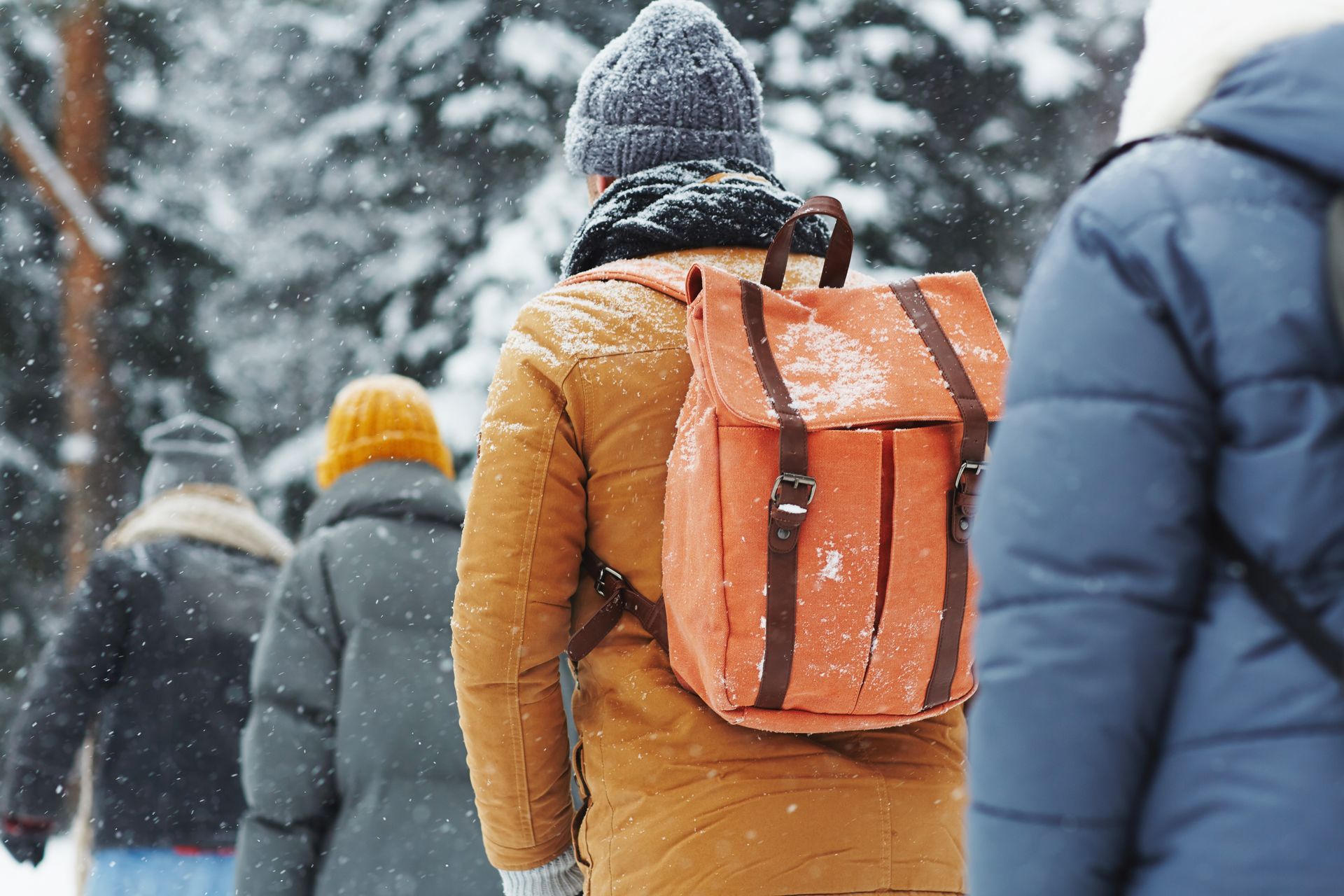 People hiking in snowy woods, wearing winter coats and backpacks.