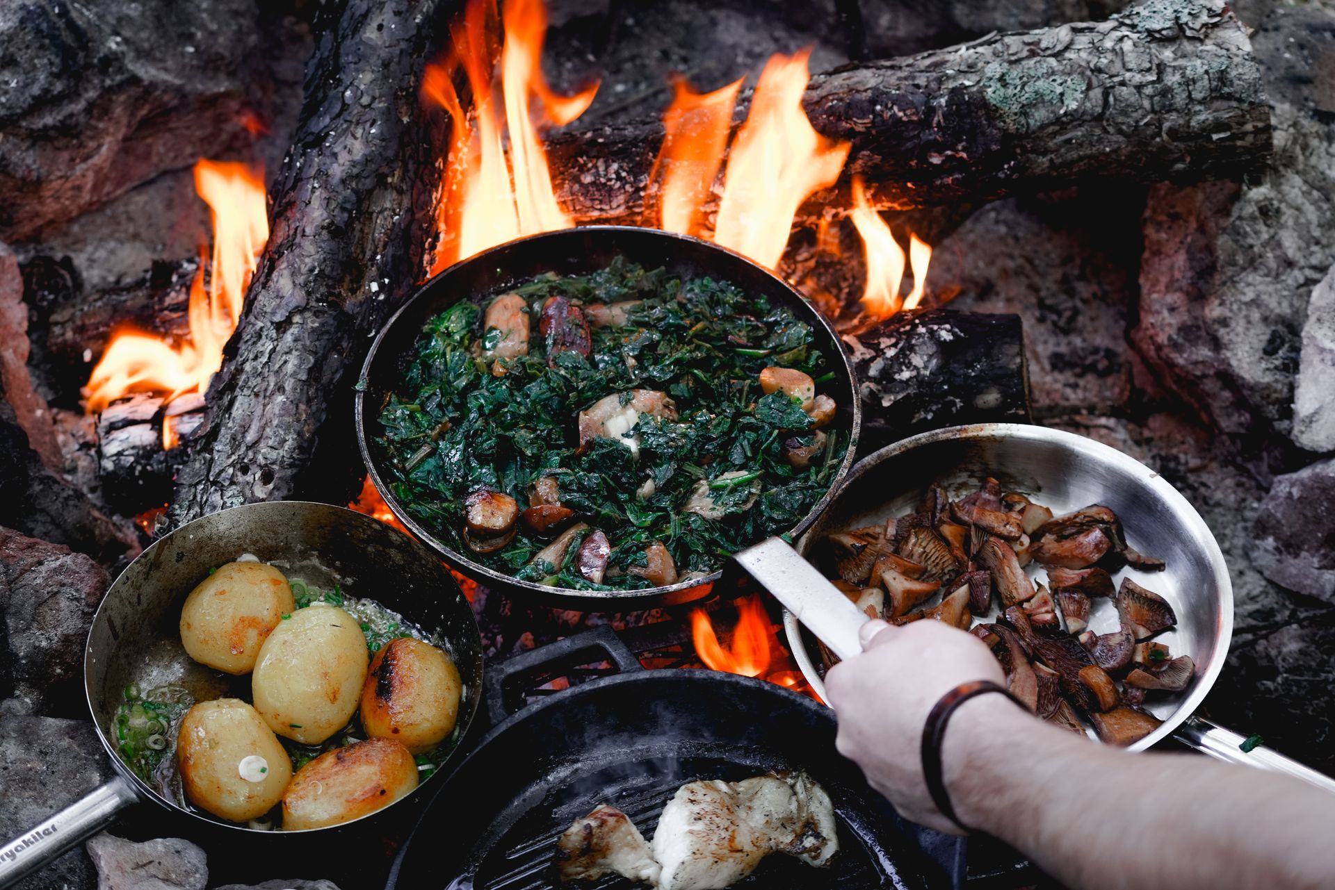 Cooking various foods in pans over a campfire: potatoes, spinach with mushrooms, and meat.