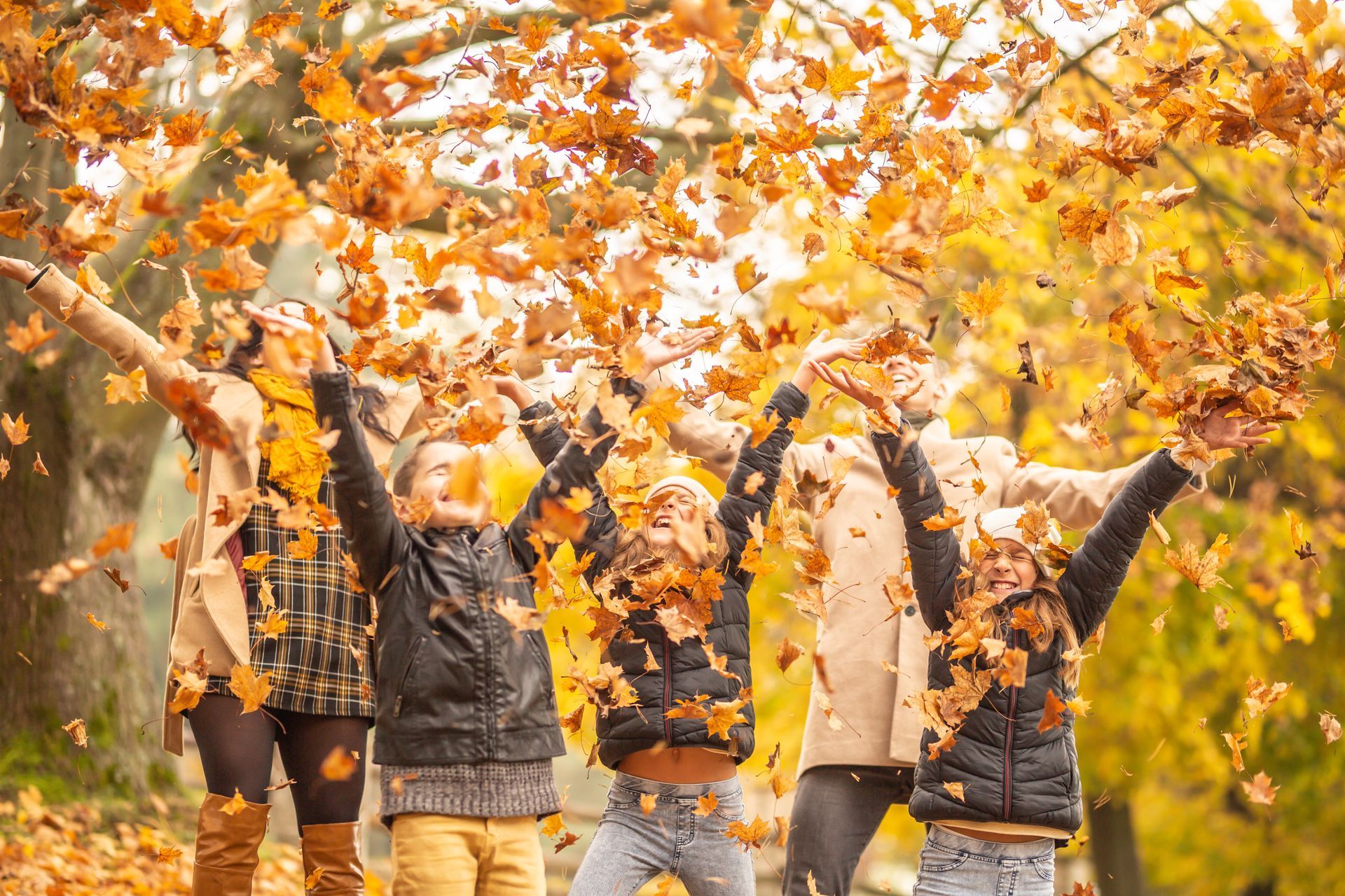 People throwing autumn leaves in the air; park setting with fall foliage; joyful expressions.