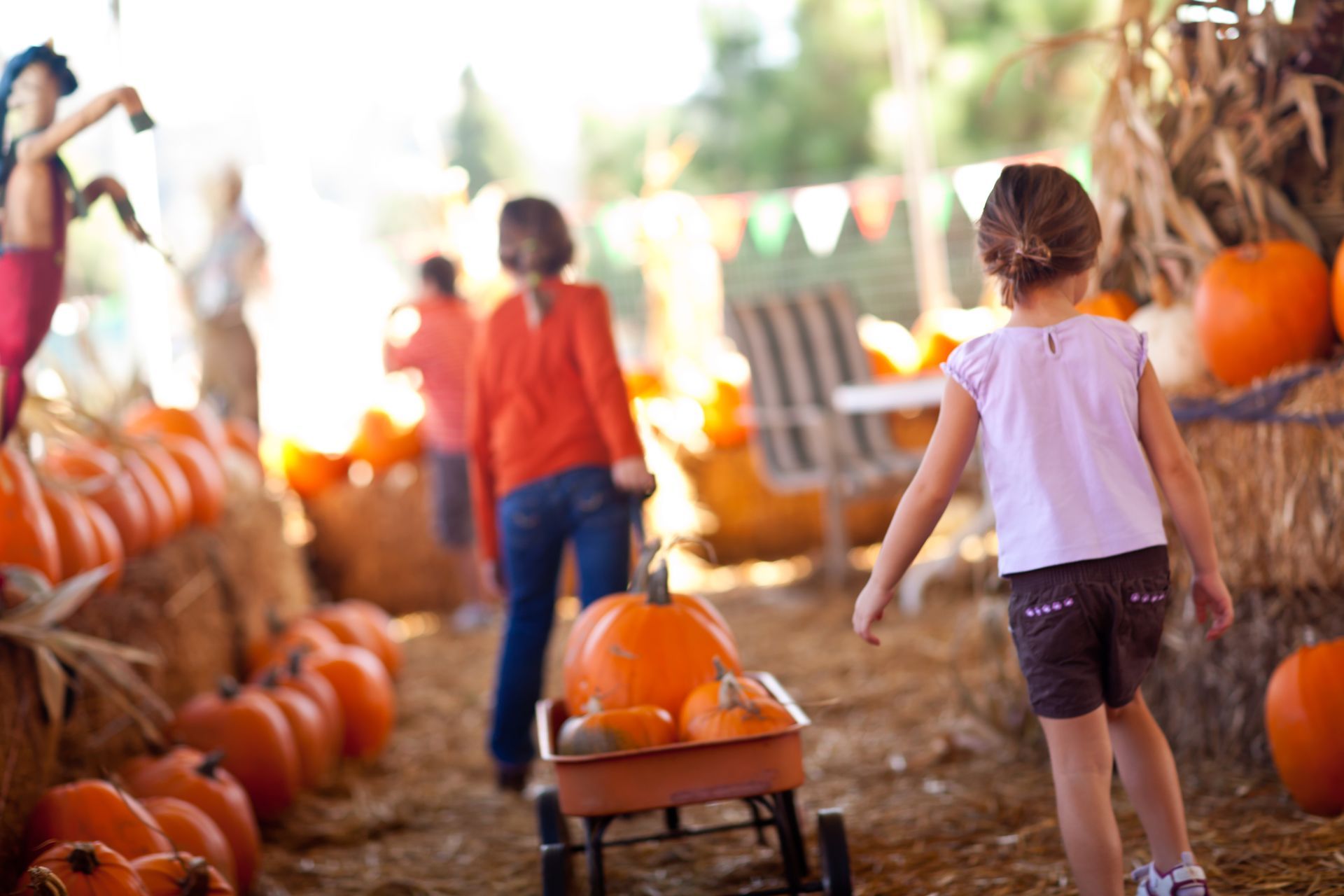 A little girl is pushing a wagon full of pumpkins at a pumpkin patch.
