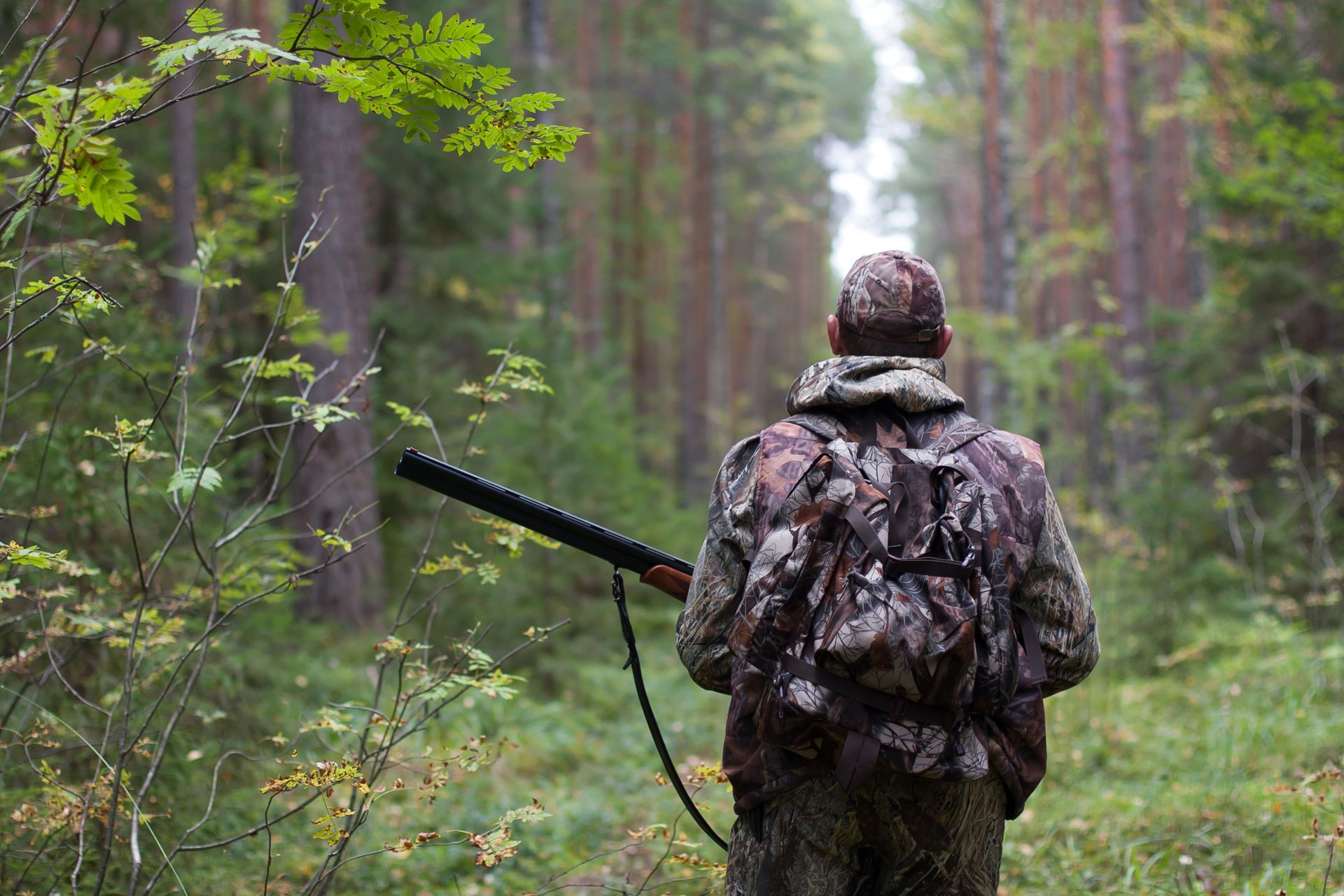 Hunter in camouflage walks through a forest, holding a shotgun, with trees and a misty trail in the background.
