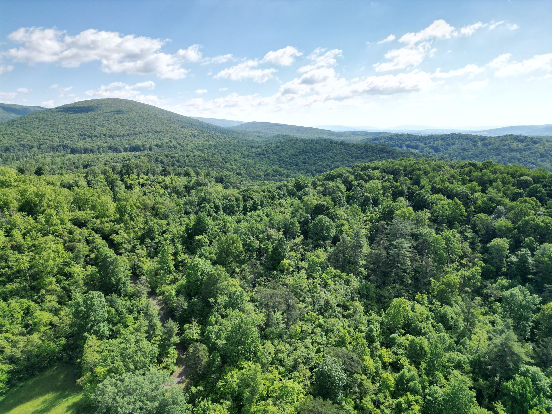 An aerial view of a lush green forest with mountains in the background.