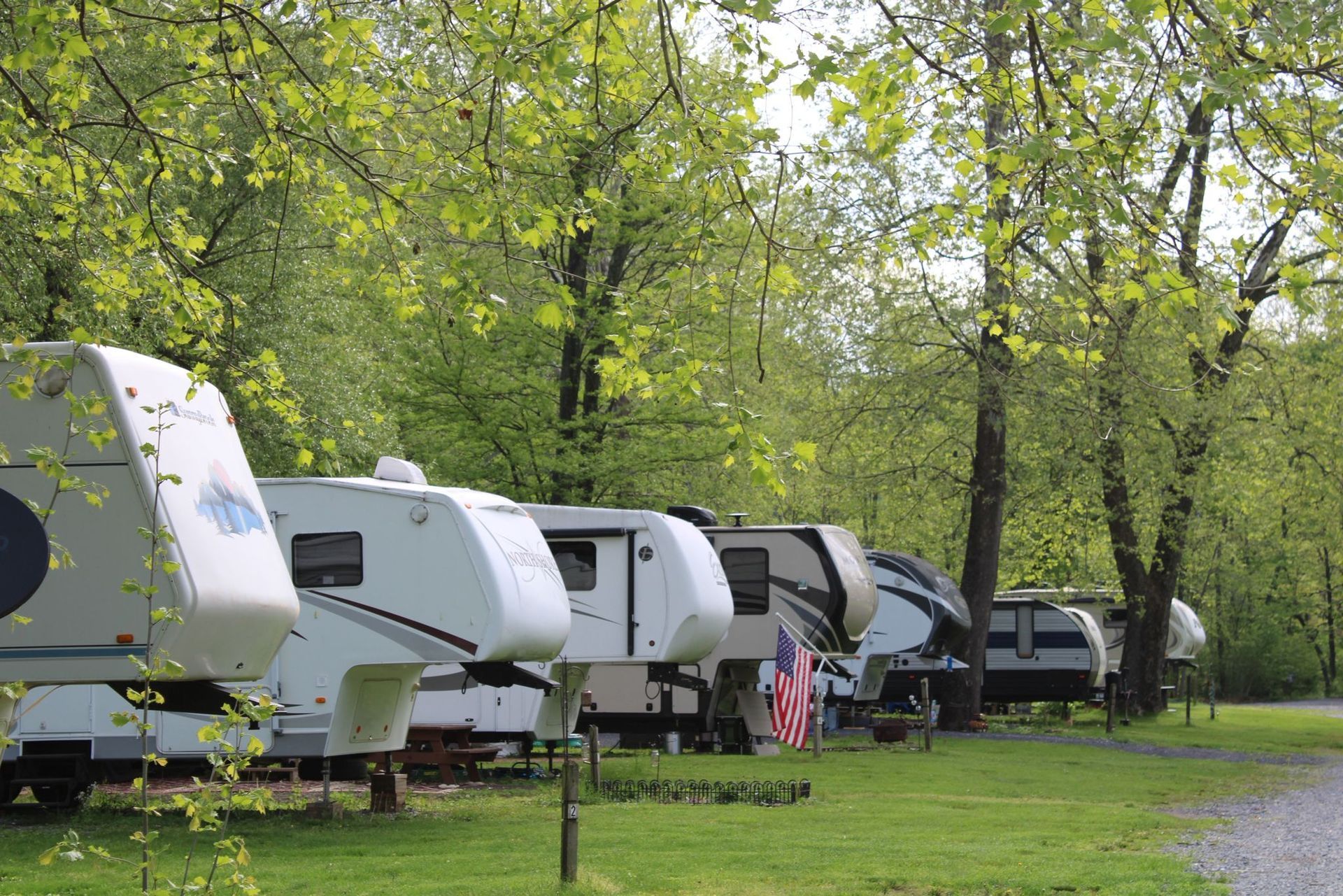 Campground with several RVs parked on grassy sites under trees.