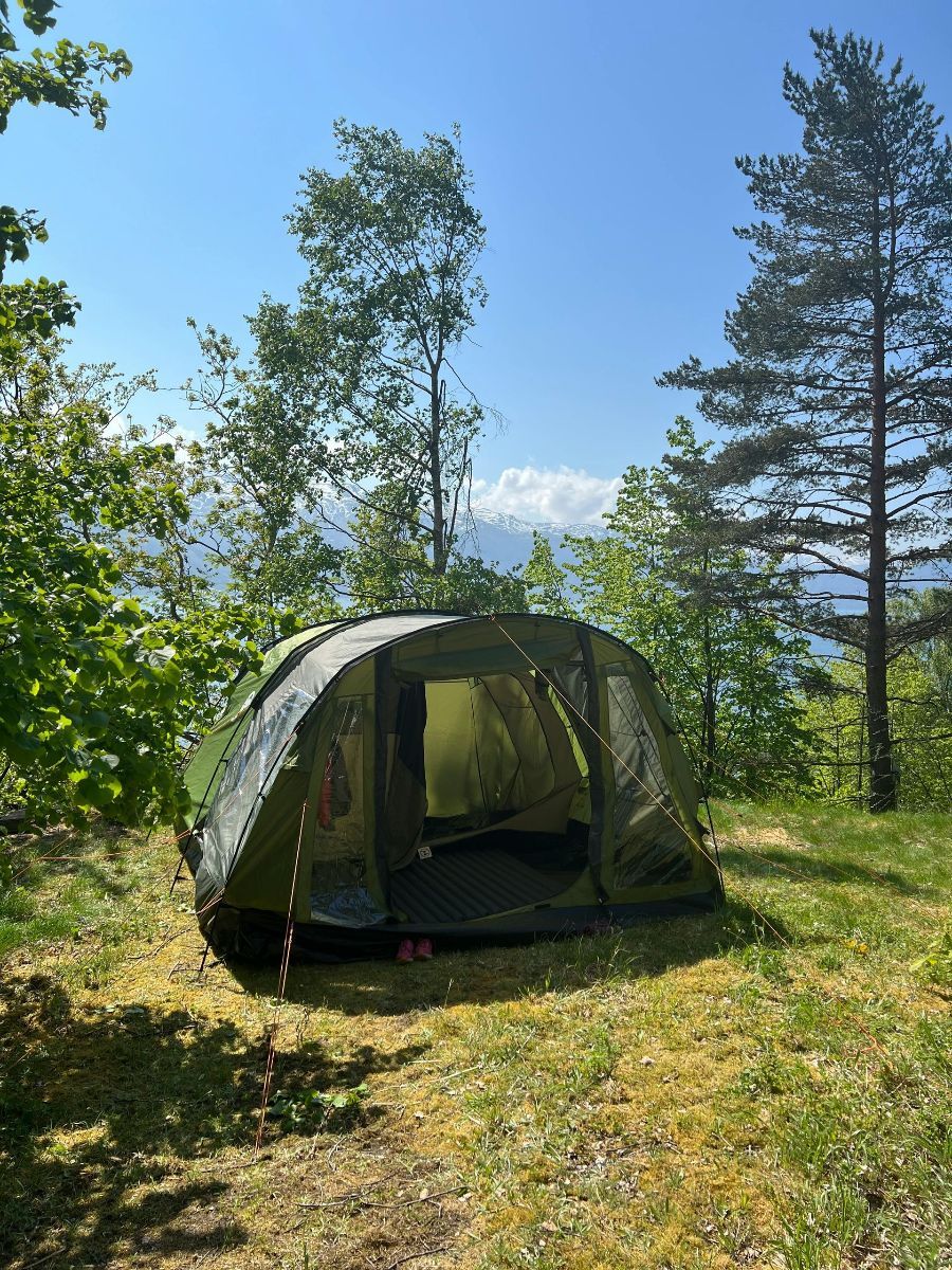 A tent is sitting in the middle of a grassy field.