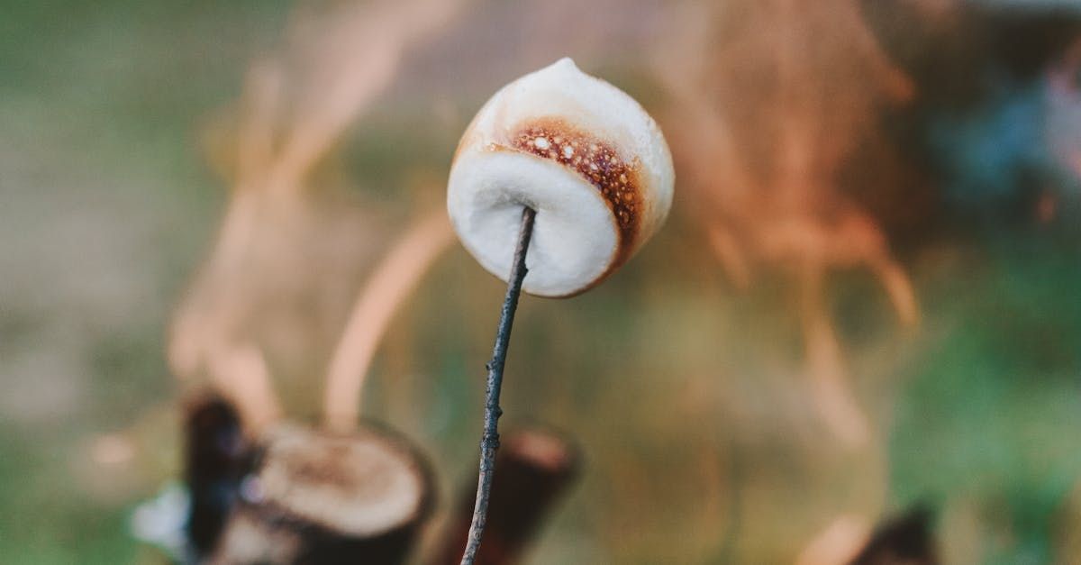 A marshmallow is being cooked on a stick over a campfire.