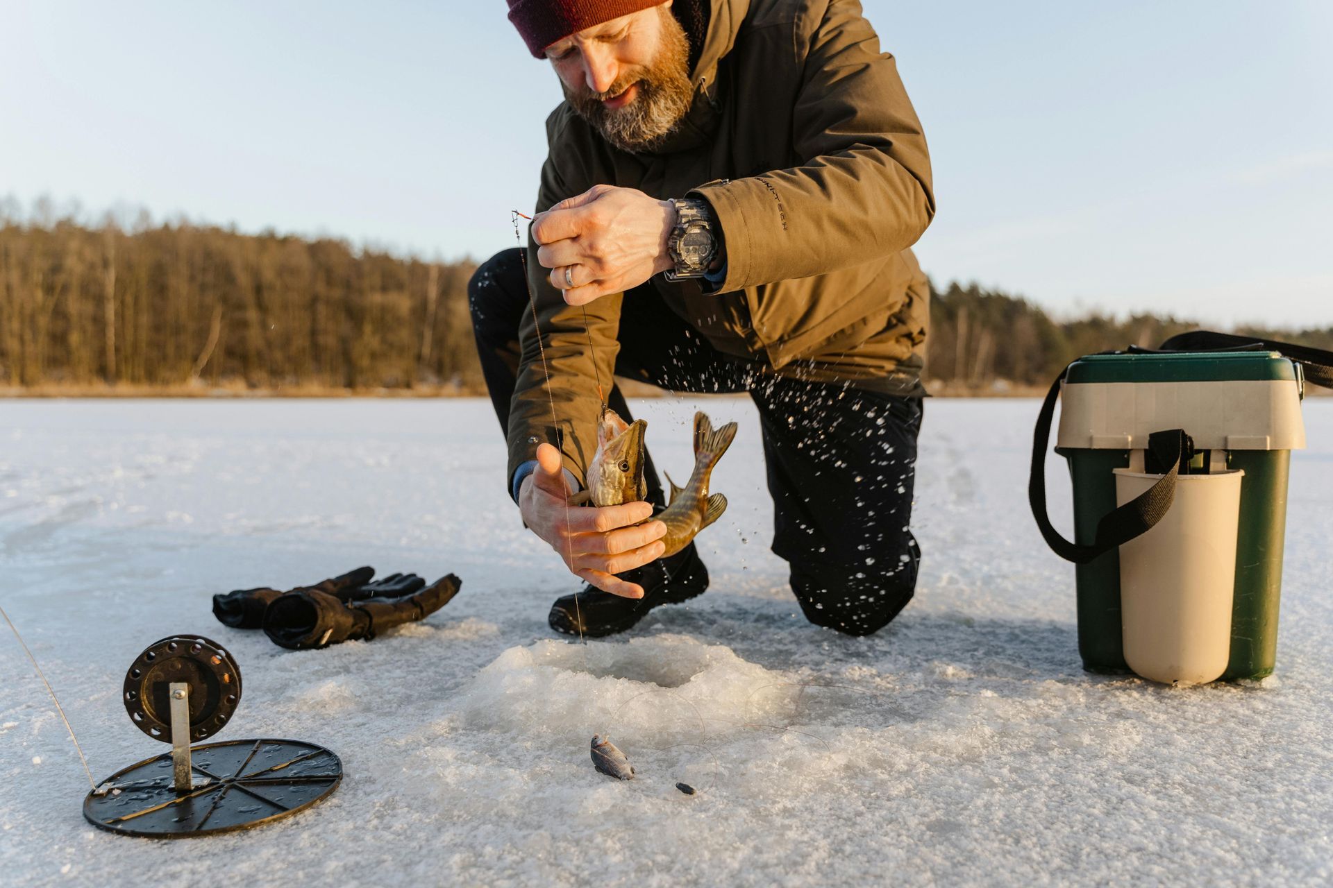 Man ice fishing, removing a fish from hook on a frozen lake.