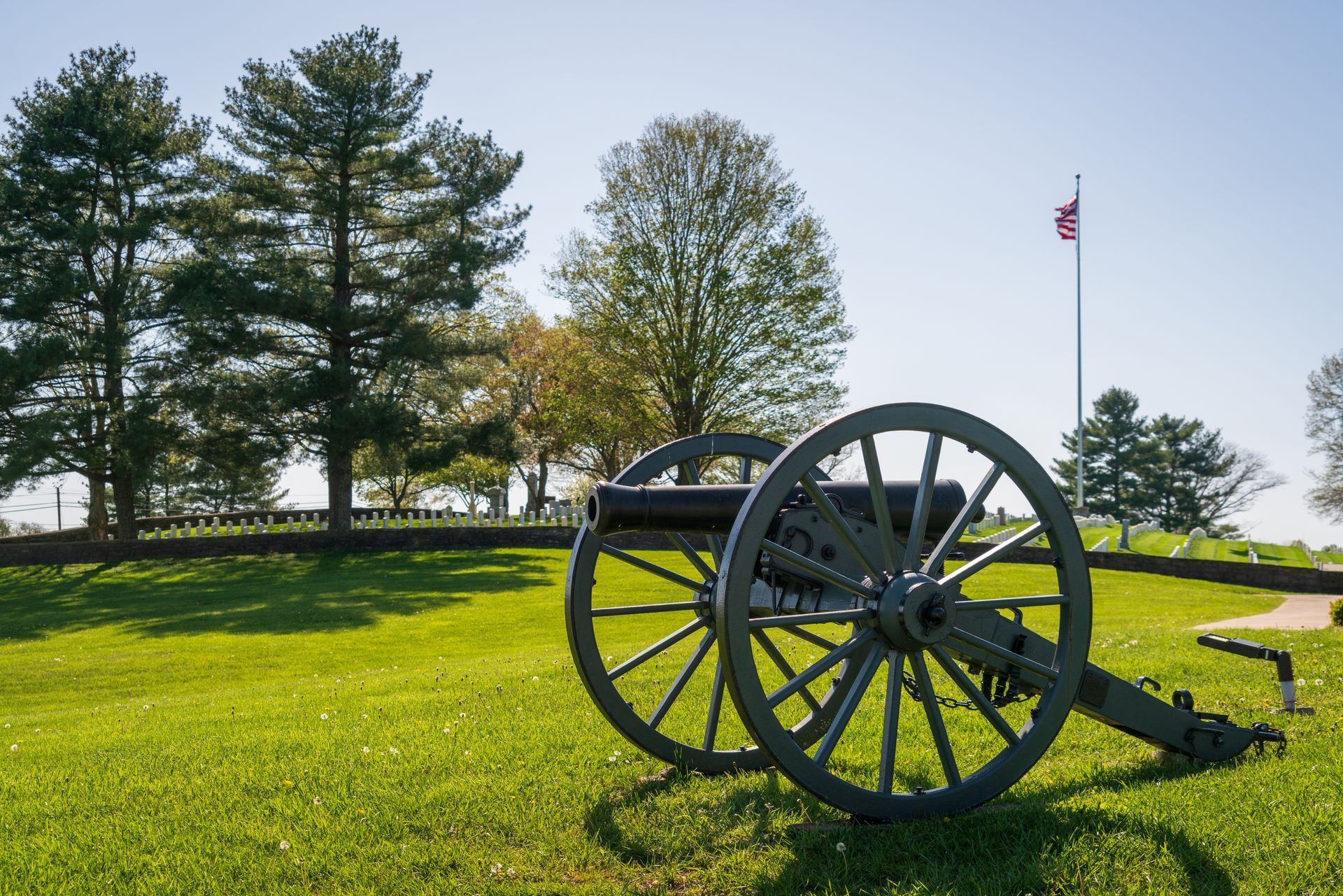 cannon-in-a-field