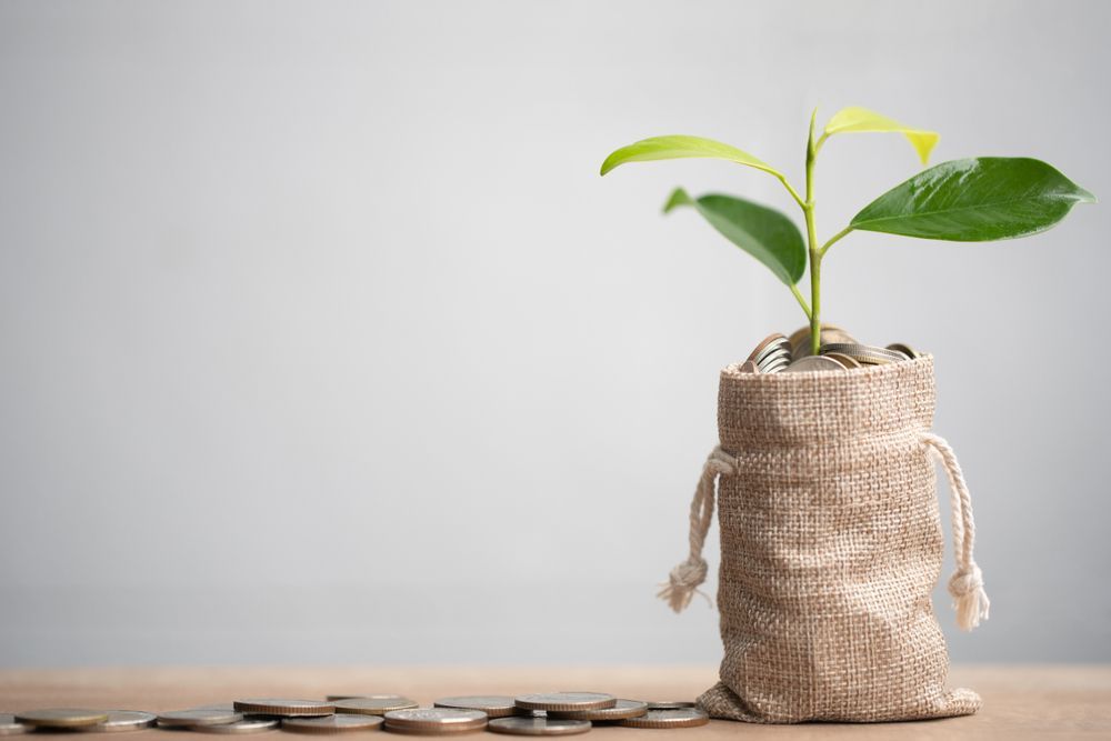 A small plant growing out of a burlap bag filled with coins, on a wooden surface.