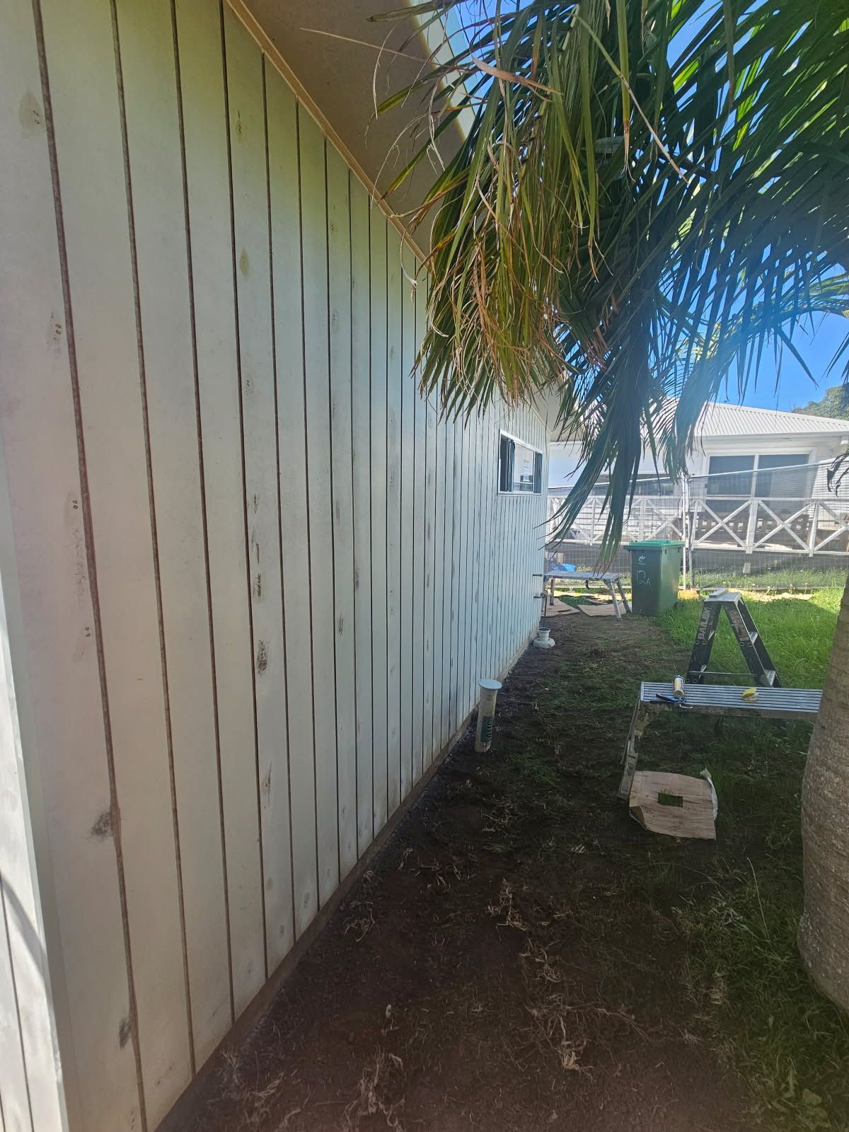 A white wooden fence is sitting next to a palm tree.