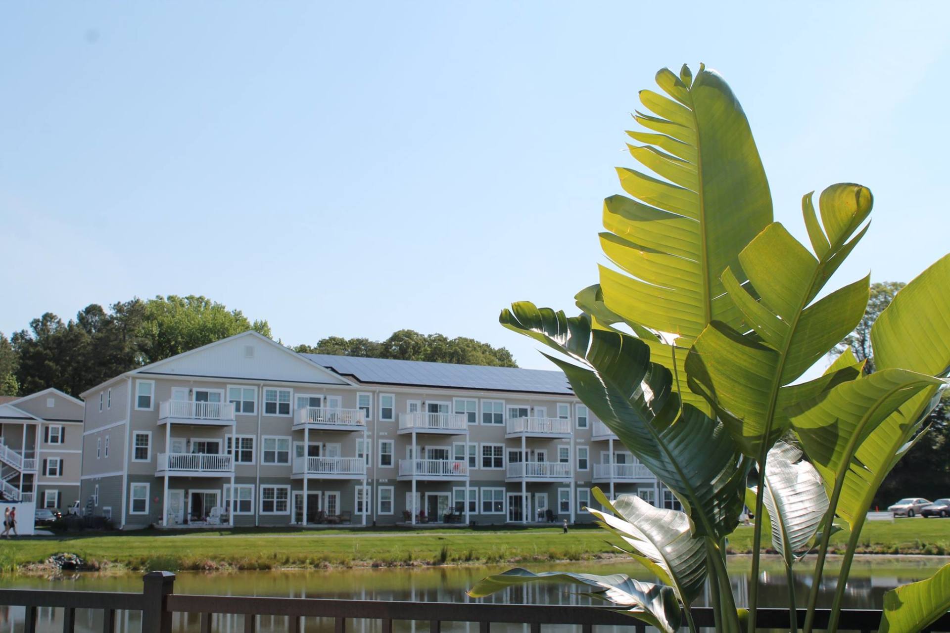 Plant in front of Beach Plum Dunes