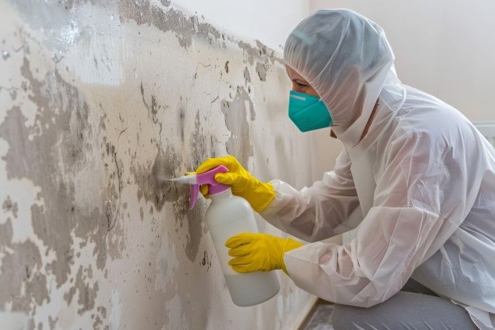 Person in hazmat suit spraying a mold-infested wall; protective gear includes mask, gloves.