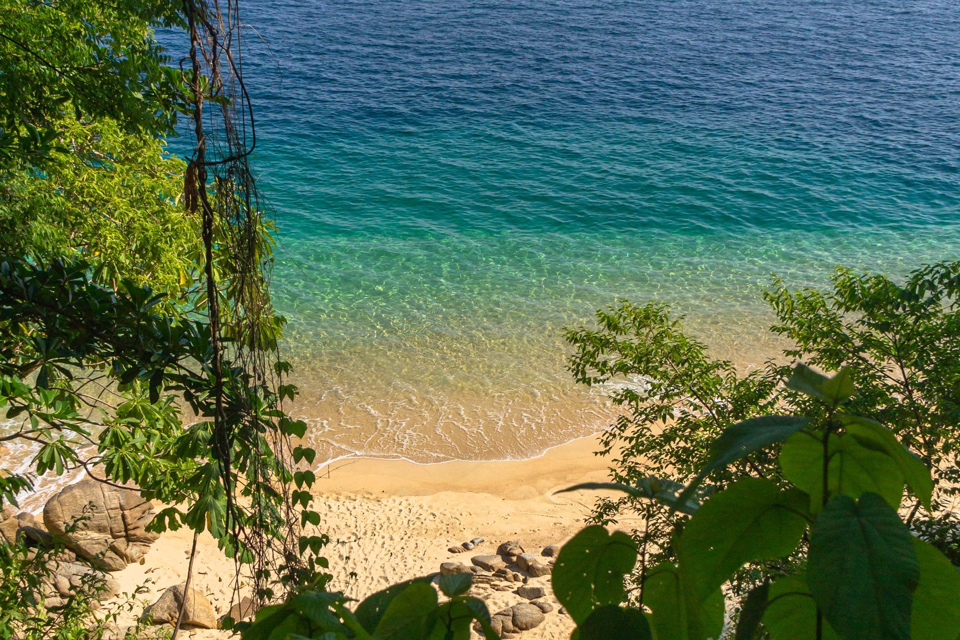 Hotel Amaca Puerto Vallarta