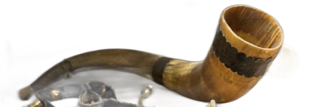 The war horn in the Historical Museum Lucerne, Photo: 12Nov25