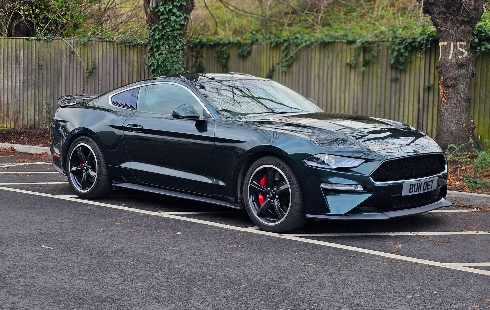 Mustang Coyote 5.0 Tuning N/A