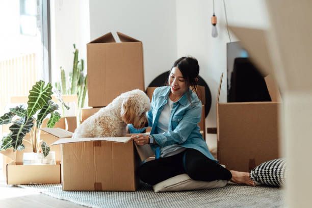 Woman smiles at dog in box while packing in cozy, sunlit room.