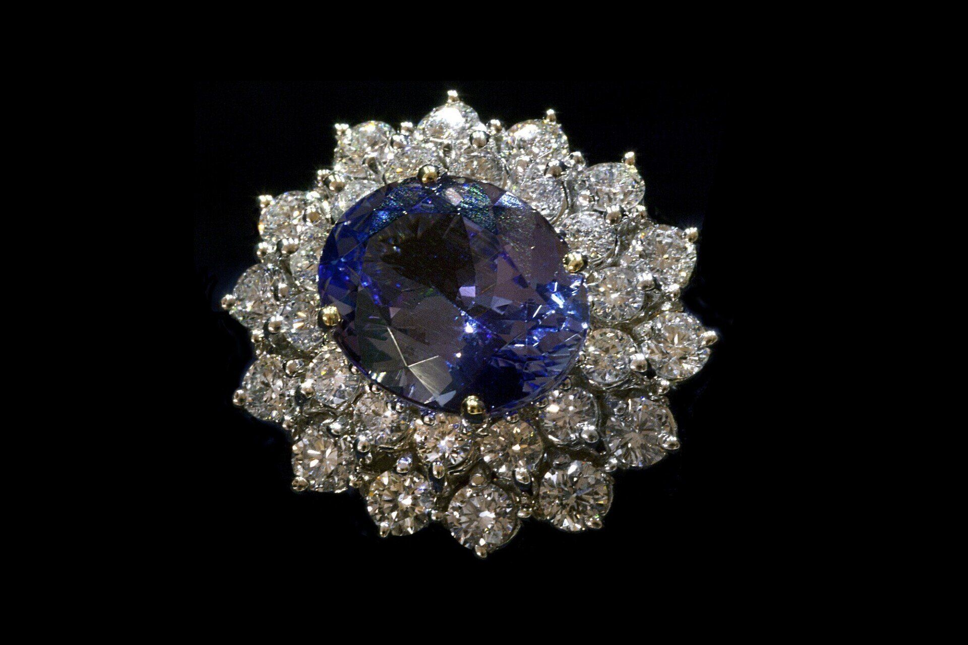Anello con pietra preziosa ovale blu, circondato da un alone di diamanti, su sfondo nero Bruna Guglielmi Genova