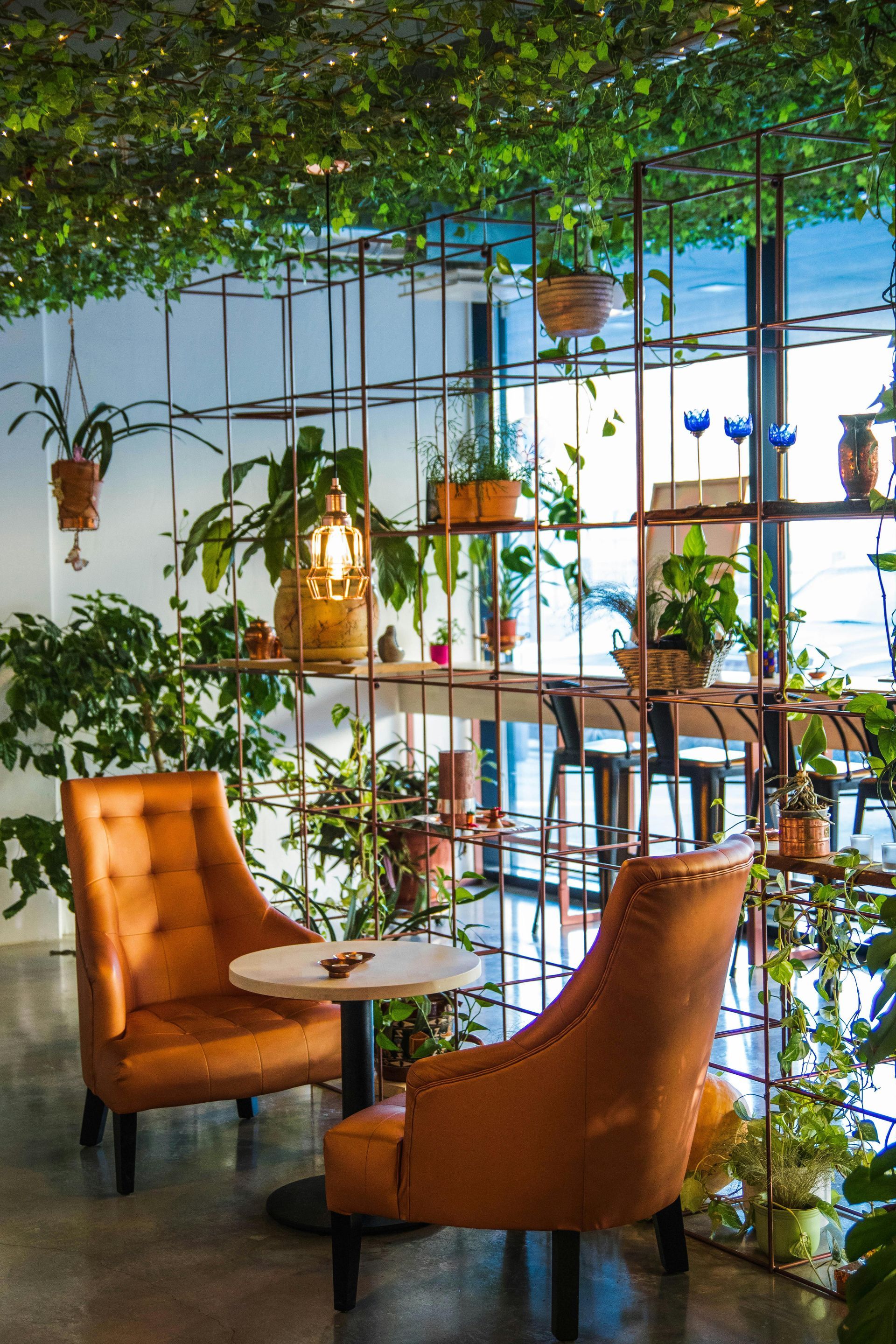 Cozy indoor cafe with orange armchairs, round table, and shelving filled with plants; lush greenery overhead.