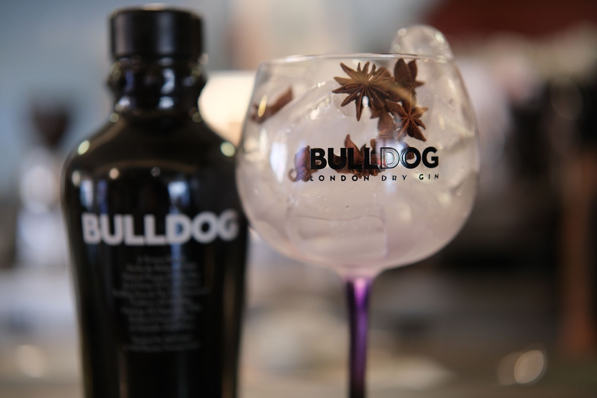 Bottiglia di gin Bulldog e cocktail al gin in un bicchiere balloon con anice stellato e ghiaccio.