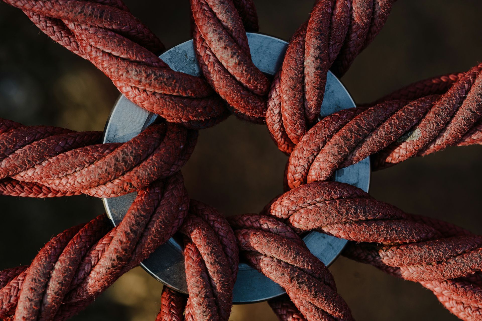 Fascia fibers showing how connective tissue affects body movement and tension.
