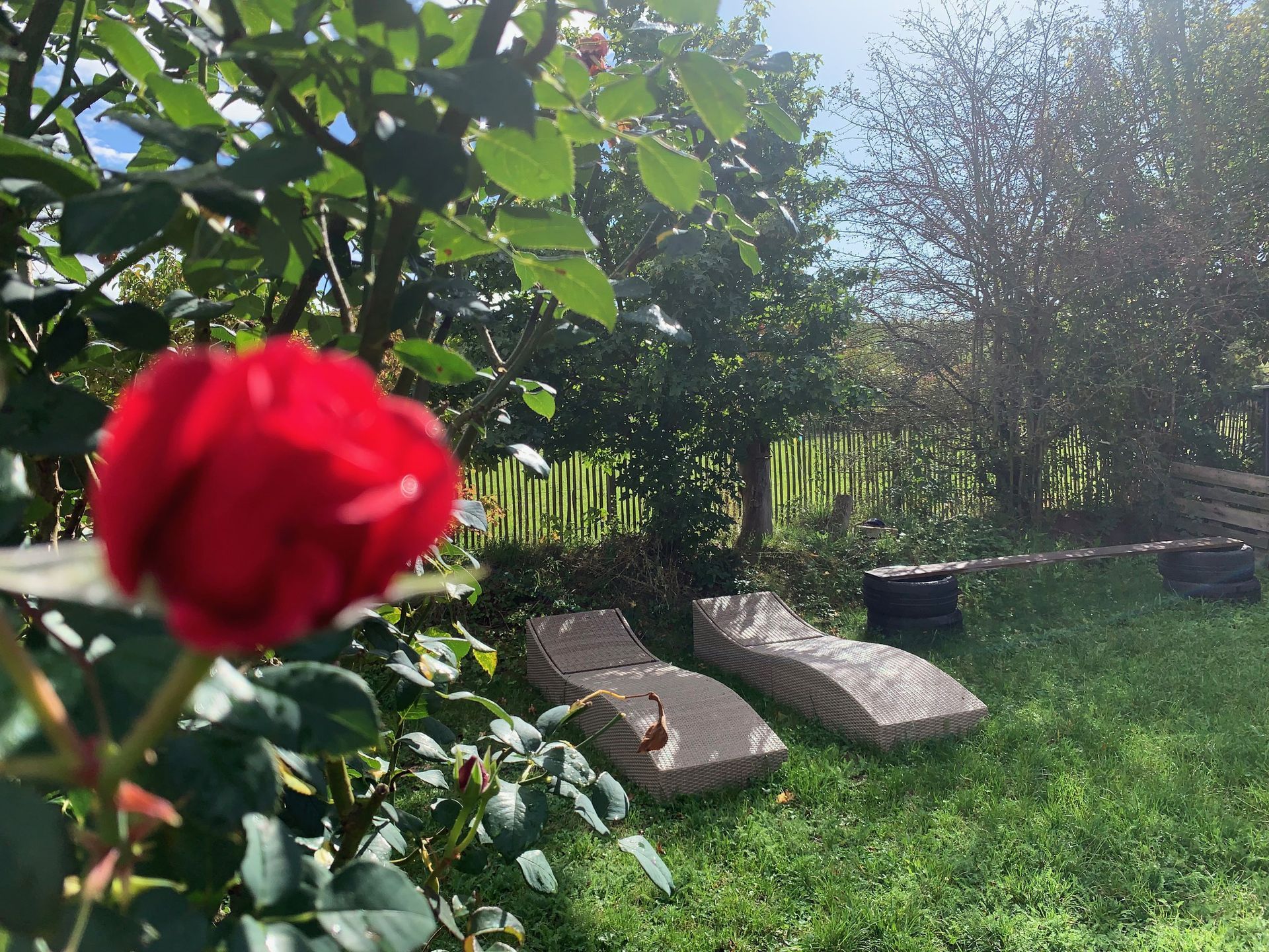 Tinyhouse Bamberg, Außenbereich Gartenliegen zum Entspannen TINYHOUSE EMMA 