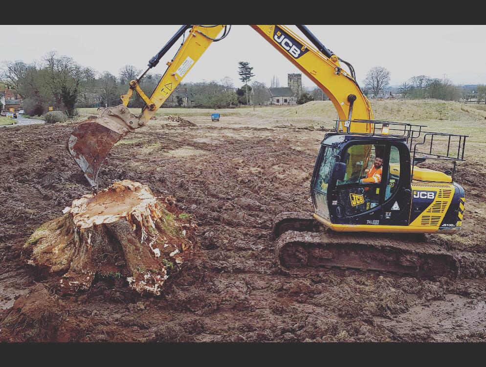 Regional Treecare's tree cutting service picture 2