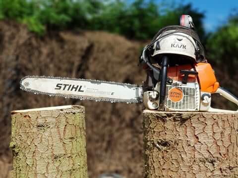 Regional Treecare's tree cutting service picture 7