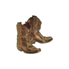 Bronzed Boots