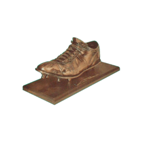 Bronzed shoe