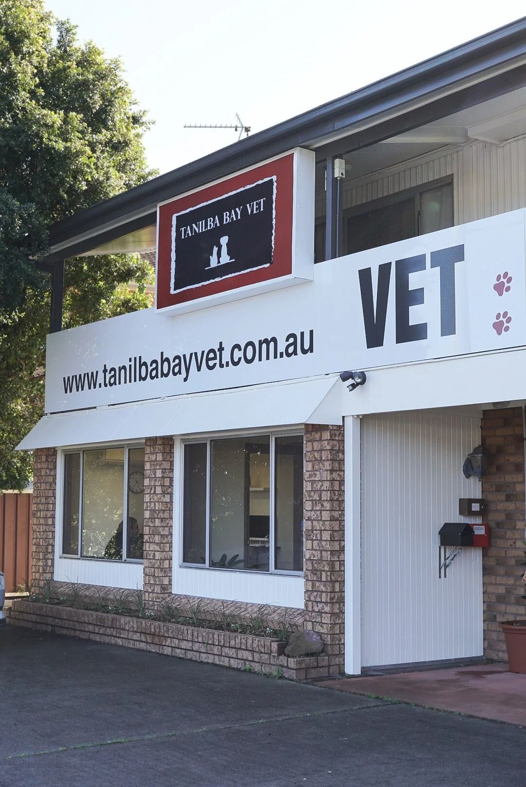 Veterinary Clinic Exterior: Tanilba Bay Vet Building with Brick and White Siding — Tanilba Bay Vet in Tanilba Bay, NSW