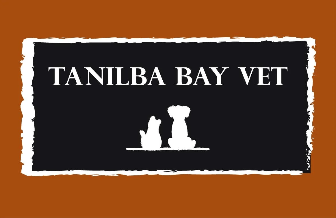 Vet in Tanilba Bay Vet in Tanilba Bay
