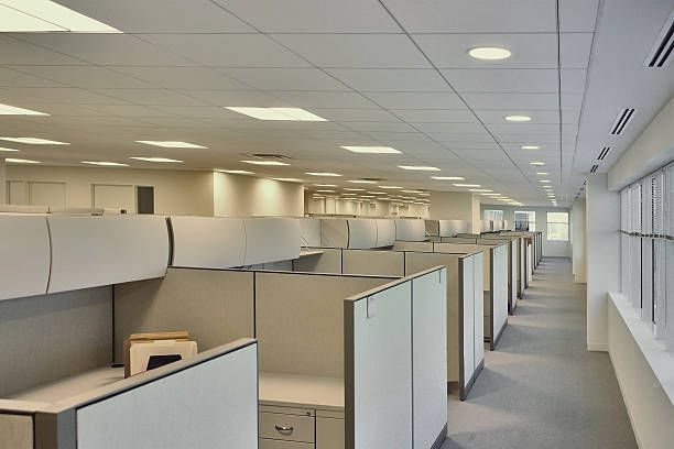 Rows of empty office cubicles in a modern workspace with overhead lighting