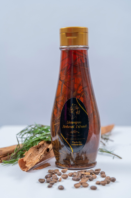 Una botella de champú de hierbas con tallos de plantas visibles, rodeada de ramas de canela y semillas sobre una superficie blanca.