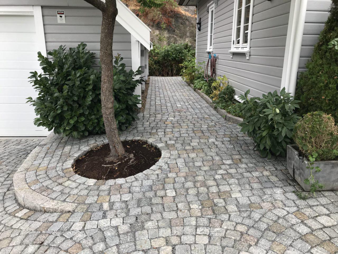 Grønt gress - anleggsgartner - Vågen & Hansen