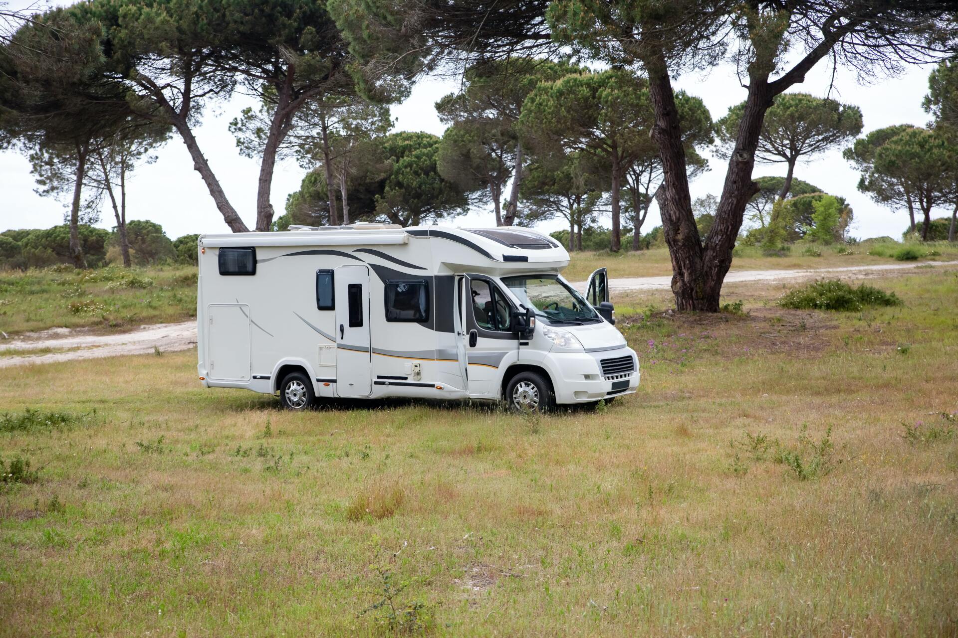 White RV parked on a grassy area with trees in a natural setting.
