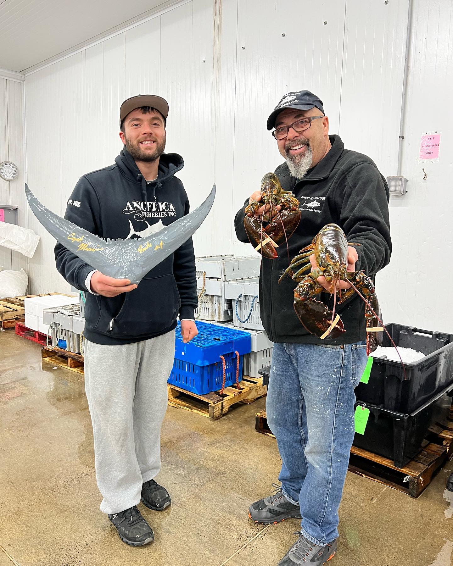 Where can i order fresh seafood online? Angelica Seafoods Premium Fresh Seafood, Sustainably Caught & Shipped From Gloucester's Fishing Families To Yours. Order Fresh Seafood Online Next Day Delivery Nationwide.