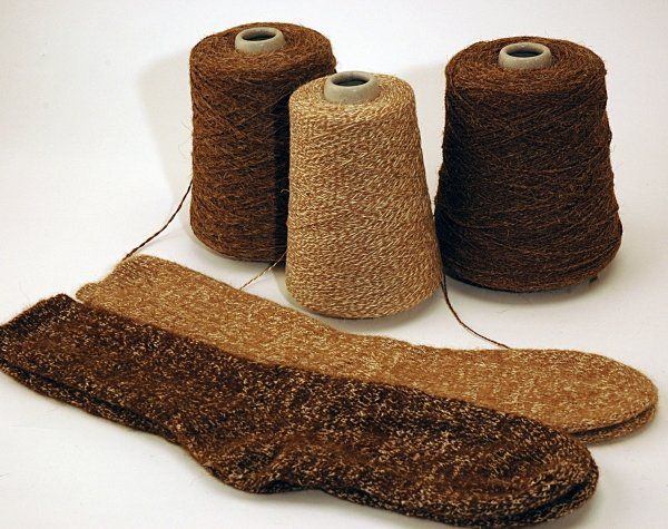 Three spools of brown yarn next to a pair of brown socks