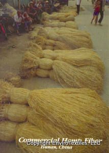 bundles of fiber are sitting on the ground