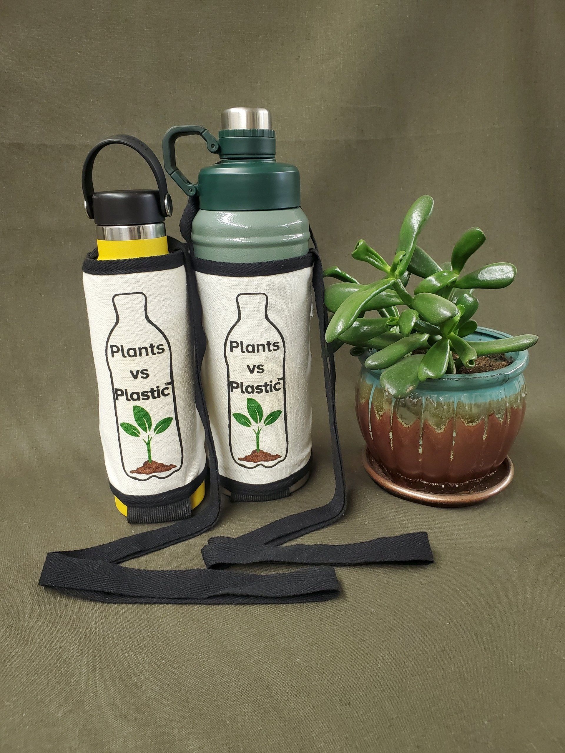 Two water bottles are sitting next to a potted plant.