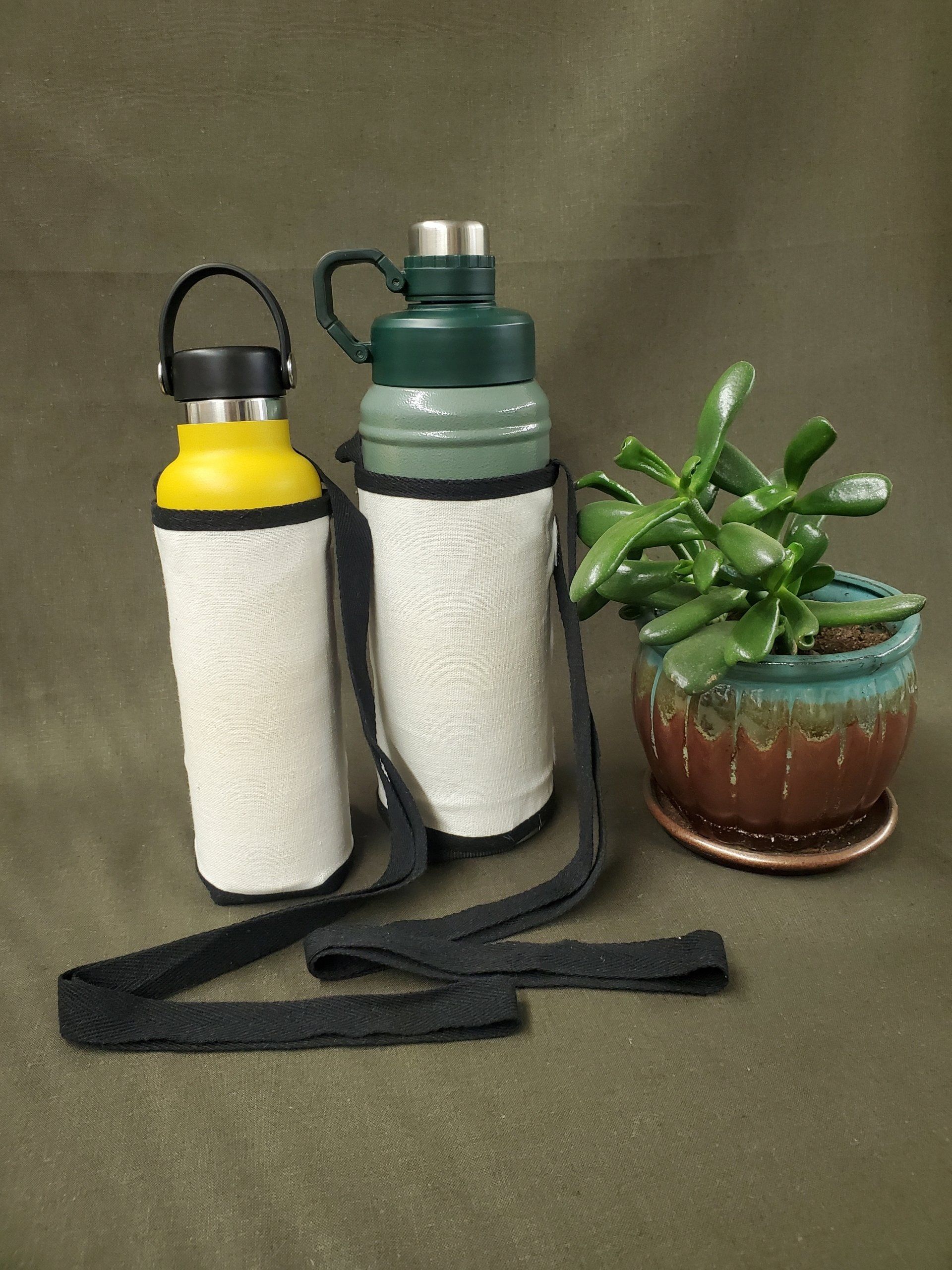 Three water bottles are sitting next to a potted plant.